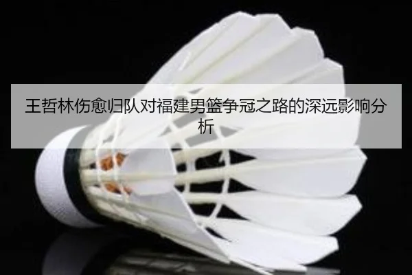 王哲林伤愈归队对福建男篮争冠之路的深远影响分析