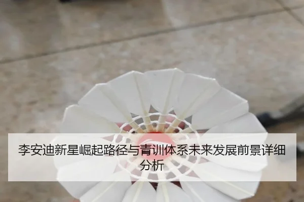 李安迪新星崛起路径与青训体系未来发展前景详细分析